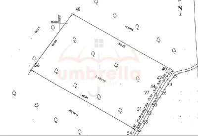 Teren de vanzare 11,600m²/6€ m² in Campenesti, langa lacul 1 - foto 4