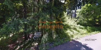 Teren de vanzare Vladet - Trei Brazi, in Predeal 1000m²/80€ m² intravilan - Predeal