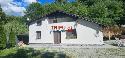 Cabana de vânzare în Intregalde – 5 camere, 1.200 mp teren, ciubăr și piscină - foto 2