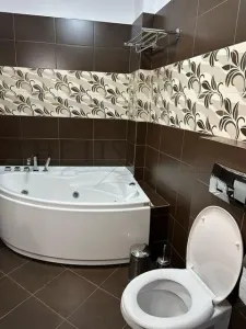 INCHIRIERE APARTAMENT 3 CAMERE UNIVERSITATE - foto 9