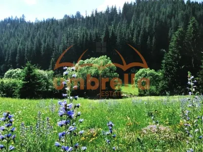 TEREN DE VANZARE 34.201m²/20€ m² IN VARSAG HARGHITA - Varsag