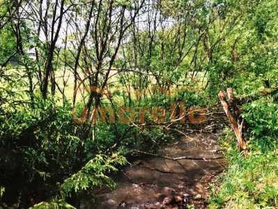 TEREN DE VANZARE 34.201m²/20€ m² IN VARSAG HARGHITA - foto 6
