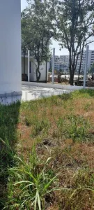 Casa eleganta 5 camere Pipera TAXARE INVERSA - foto 11
