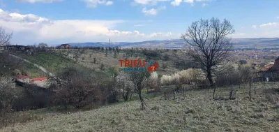 Teren 1654 mp zona Cetate Schit - foto 4