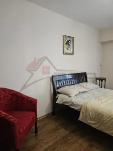 Apartament cu 1 camera decomandat, bloc din 1991 - Pacurari - foto 3