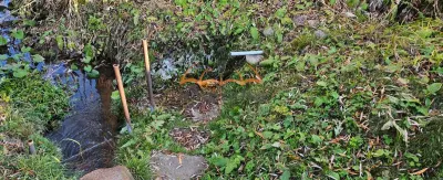 Teren agricol de vanzare in INUCU-Aghires, 1000m²/20€ m² Extravilan - foto 5