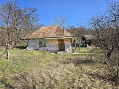 Casa de vanzare + Teren 11.400m², Corpadea - Corpadea