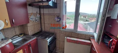 Apartament de vanzare 2 camere Ampoi - foto 4