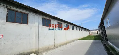 Hala Productie 1208mp cu Birouri si 10000 mp teren - foto 4