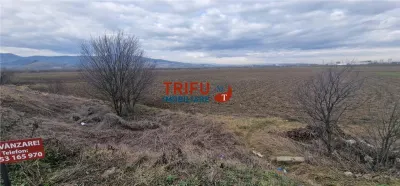 Teren de vanzare zona industriala - foto 4