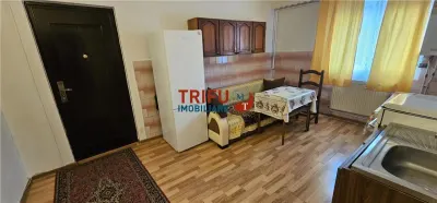 Apartament de vanzare zona Piata Cetate ! - foto 3