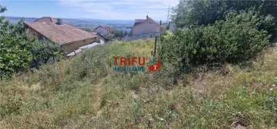 Teren de vânzare zona Schit - foto 9
