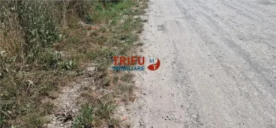 Treren de vanzare 438mp in cartierul Orizont - foto 8