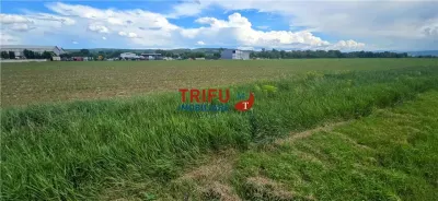 Teren intravilan industrial cu PUZ aprobat - foto 3
