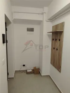 Inchiriere apartament cu 1 camera decomandat Valea Adanca TLT - foto 6