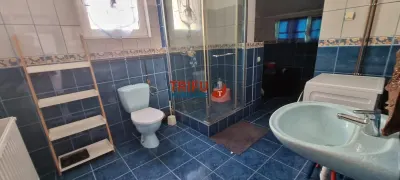 Casa D+P+E de vanzare zona Cetate cu 775 mp teren - foto 19
