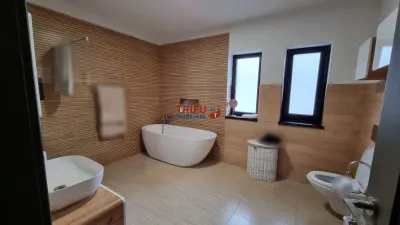 Case tip Duplex pe nivel de vanzare comuna Ighiu - foto 13