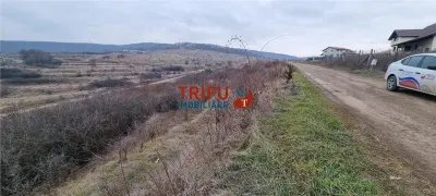 Teren intravilan 762 mp de vanzare  zona Podei - foto 3