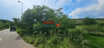 Teren De Vanzare Valea Popii ! - foto 2