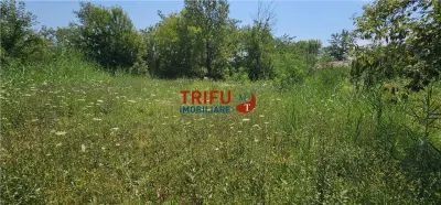 Teren de vanzare cu iesire la raul Mures 1200 mp - foto 5