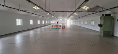 Hala de inchiriat zona Sebes cu posibilitate de cumparare - foto 5