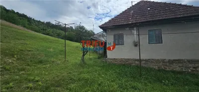 Casa de vanzare, 5600 mp teren, cu utilitati, zona Paclisa - foto 2