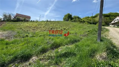 Teren pentru casa de vacanta in Micesti - foto 2