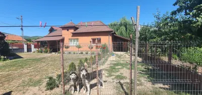 Casa de vanzare 2000 mp teren Micesti - foto 1