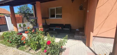 Casa de vanzare 2000 mp teren Micesti - foto 2