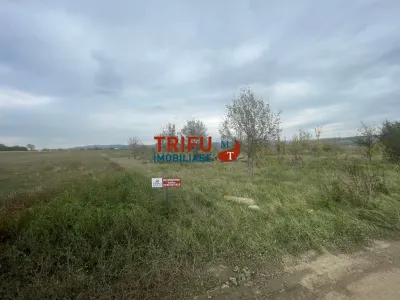 Teren Intravilan în Alba Iulia, pretabil locuinte - foto 1