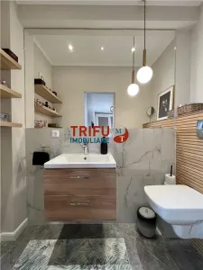 Penthouse pe două niveluri de vânzare în Alba Iulia - foto 8