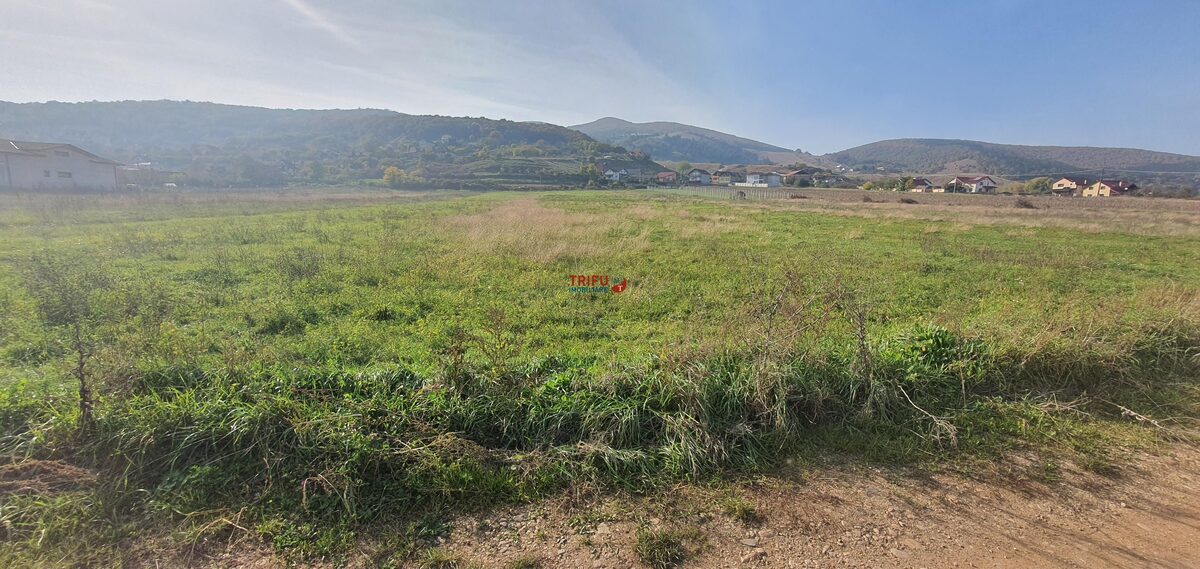Teren de vanzare Micesti partea stanga 5738 mp - Alba Iulia