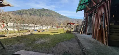 Casa de vanzare pretabila 2 familii in Pianu de Sus - foto 17