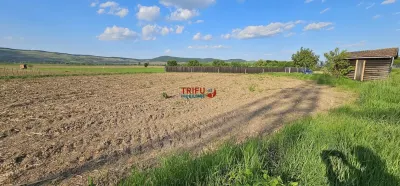 Teren construibil 300mp zona Micesti - Alba Iulia