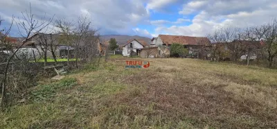 Casa de inchiriat in Micesti - foto 11