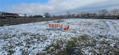 Teren Intravilan Construibil în Micești, Alba Iulia - foto 6