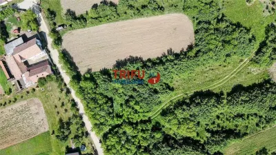 Teren intravilan 4600mp in Oarda de Sus - foto 2