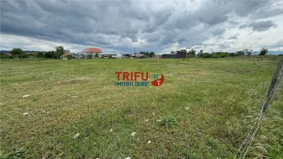 Teren de vanzare in sebes 5500 mp - foto 1