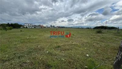 Teren de vanzare in sebes 5500 mp - foto 2