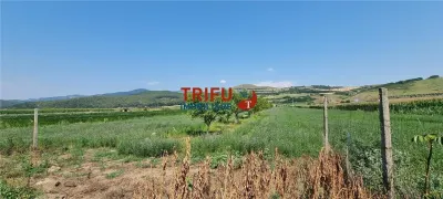 Teren intravilan de vanzare in Sard  2100 mp - Sard