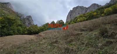 Teren Intravilan de Vanzare in Zona Turistica Ramet - foto 5