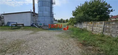 Hala de inchiriat Alba Iulia - foto 8