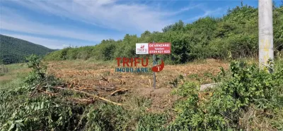 Teren de vanzare 1700 mp cu utilitati in Sard - foto 4