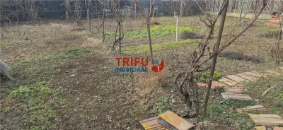 Casa de vanzare in Barabant cu anexe 765mp teren - foto 2