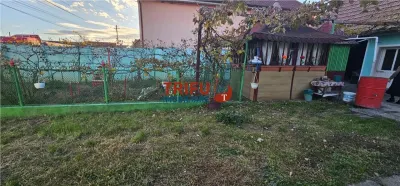 OFERTĂ!!! Casă în Cricău cu 1776mp teren, 1 ha teren arabil și 10arii de vie - foto 10