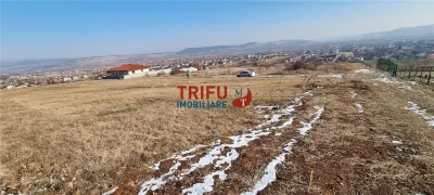 Teren 528 mp de vanzare Alba Micesti spre padure - foto 2