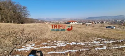 Teren 528 mp de vanzare Alba Micesti spre padure - foto 3