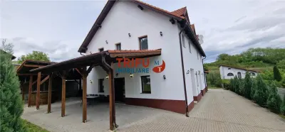 Casă tip pensiune de vânzare cu 6 camere și o casă adiacentă, zona Schit - Alba Iulia