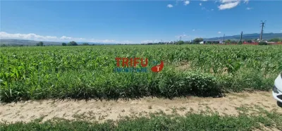 Teren de vanzare langa soseaua de centura, 5100 mp - foto 1