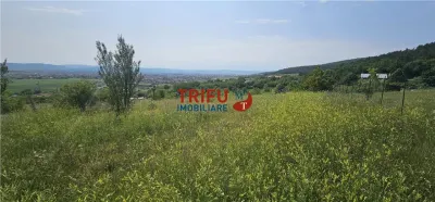 Teren de vanzare in Micesti cu suprafata generoasa - foto 1
